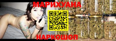 крисы Будённовск