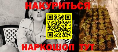 крисы Будённовск
