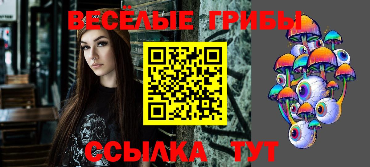 Псилоцибиновые грибы GOLDEN TEACHER Полевской