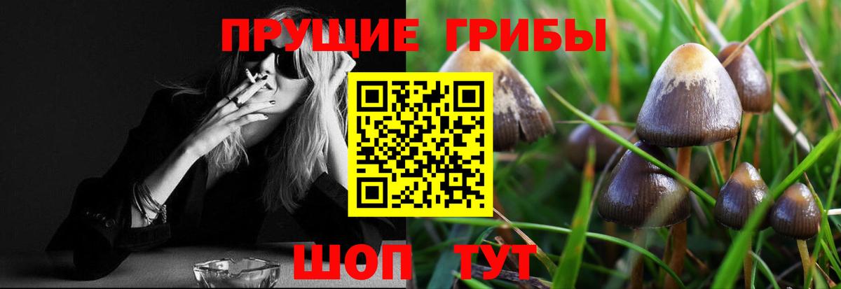 Галлюциногенные грибы MAGIC MUSHROOMS  Вход с VPN  Полевской 